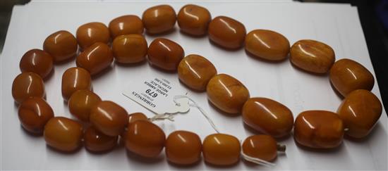 A large single strand graduated amber bead necklace, 36in.